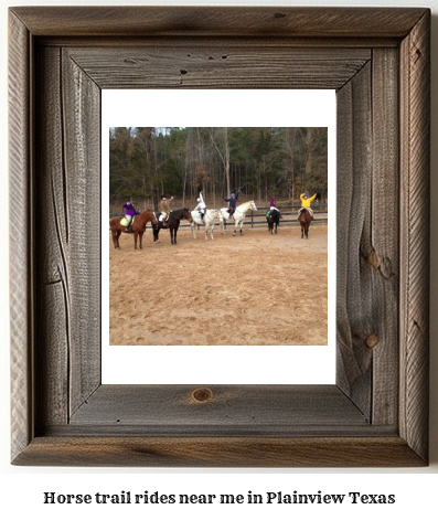 horse trail rides near me in Plainview, Texas